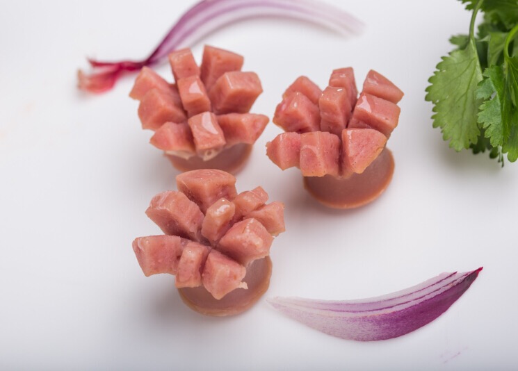 ��������ϵ��